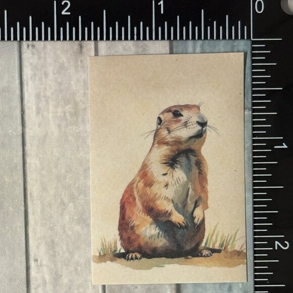 🌀10/$10🌀 Classic Grassland Animals Reusable Washi Sticker Decal - Picture 1 of 1